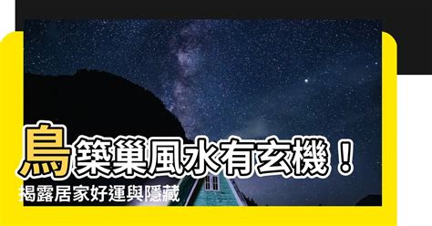 鳥築巢 風水|鳥巢風水：居家好運密碼